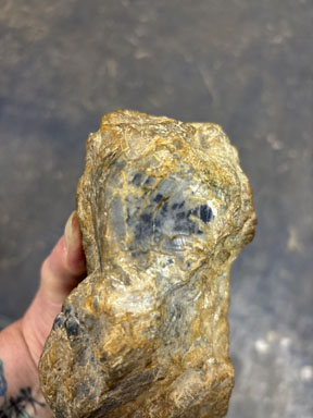 9lb 3oz Big Blue Sapphire